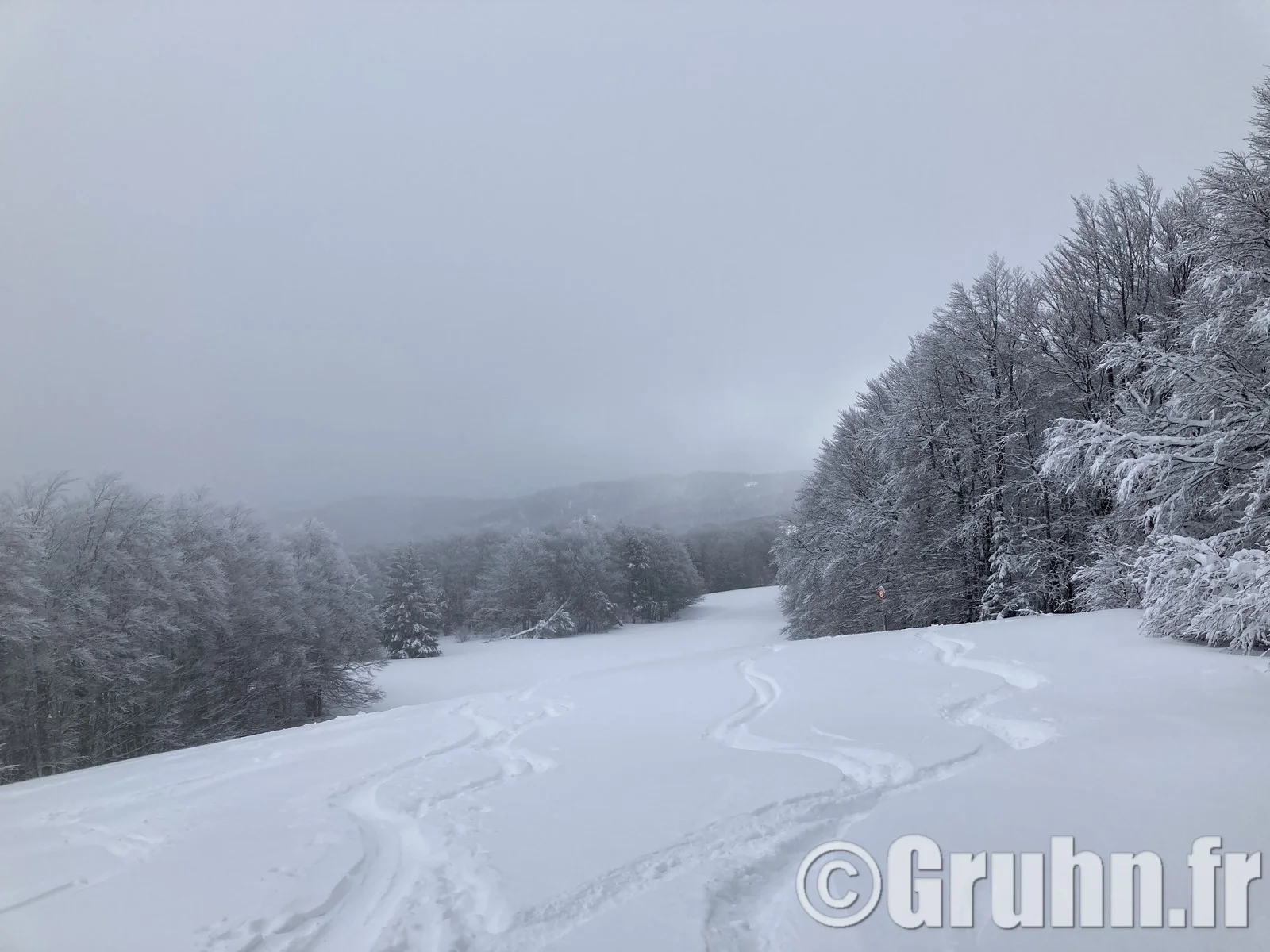 sur les pistes du grand ballon