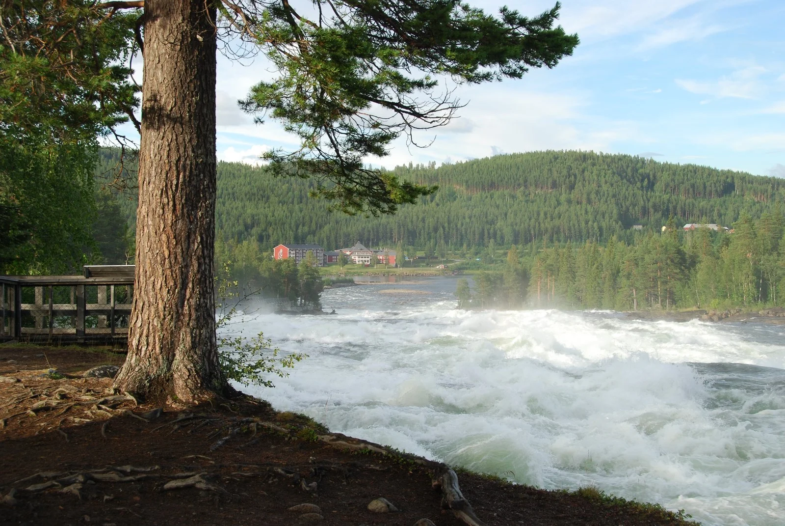 Les rapides de storforsen