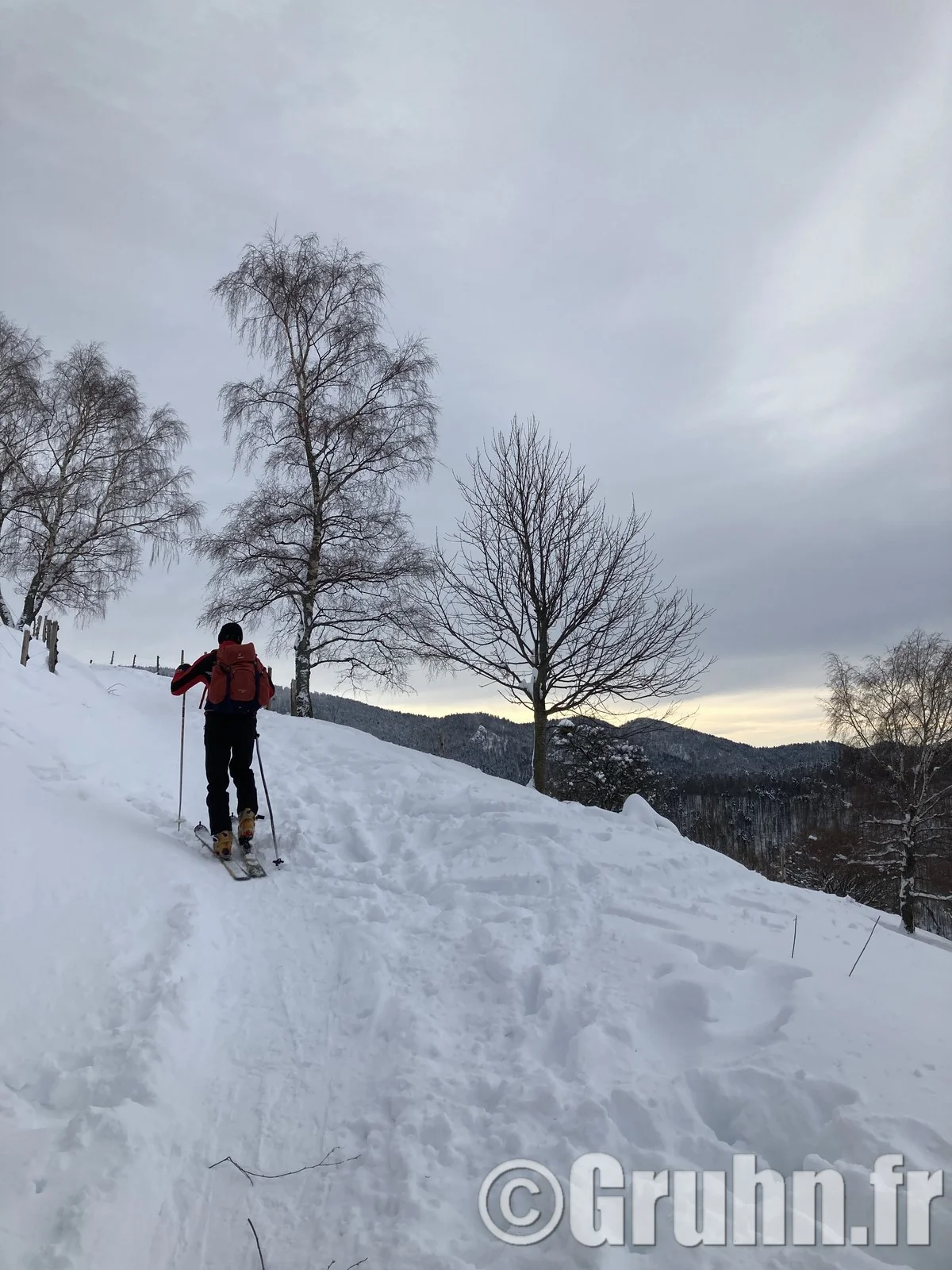 Untitled product