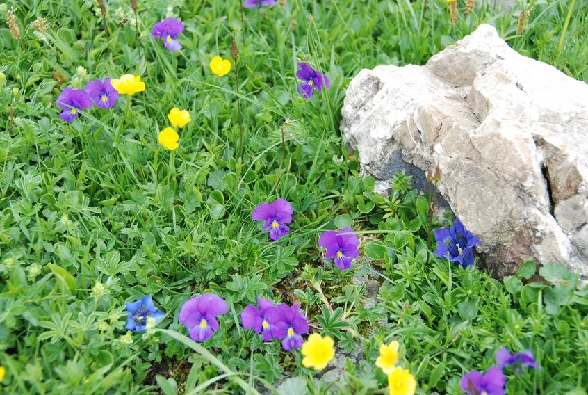 Untitled product