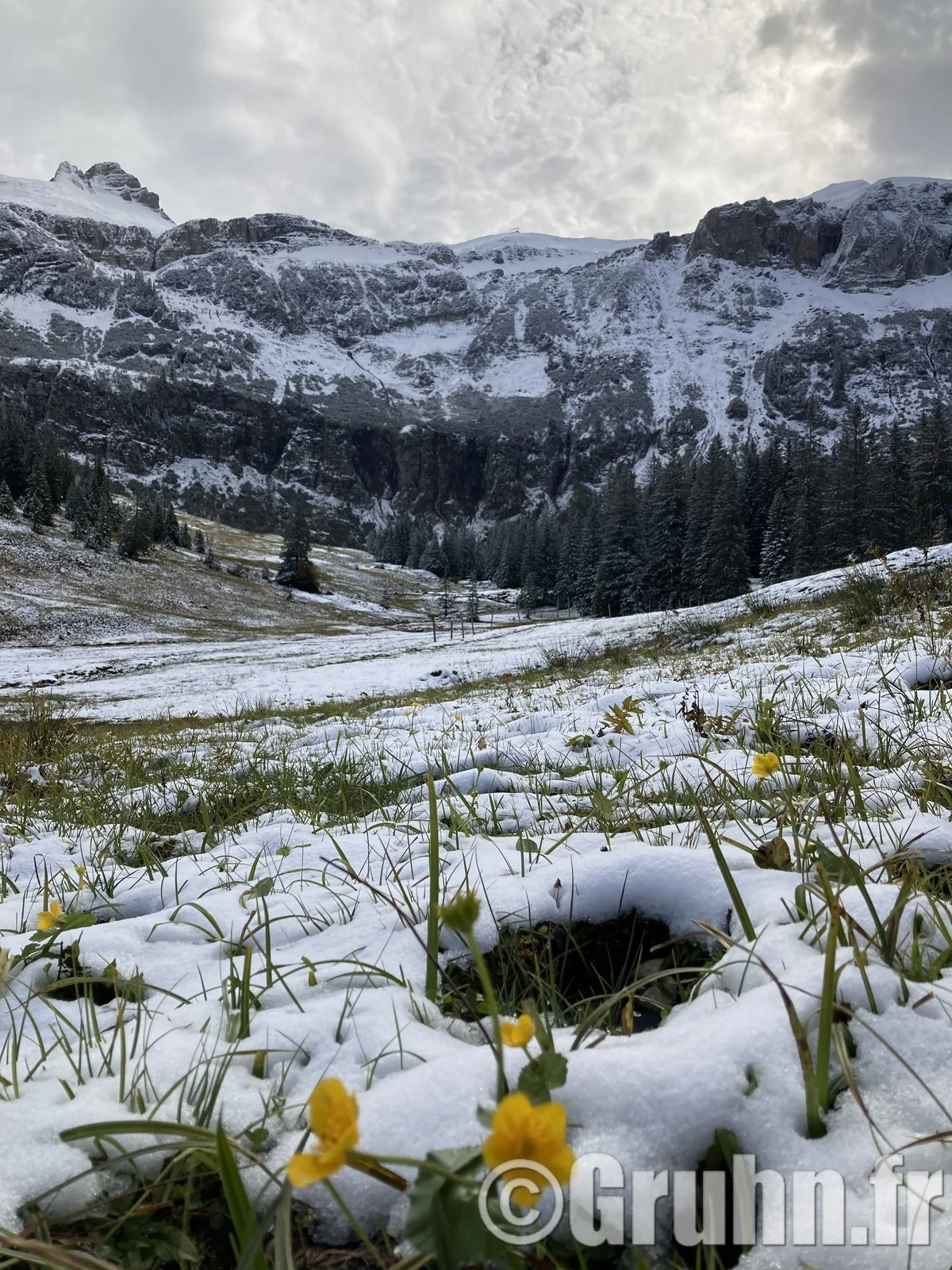 mellau sous la neige !