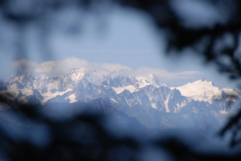 Untitled product